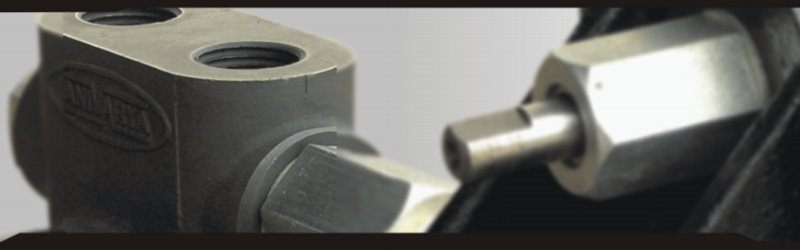 Bombas de Engranaje y Lobulares